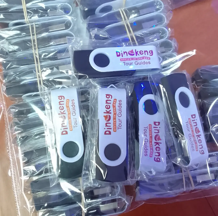Dinoken USB Drives